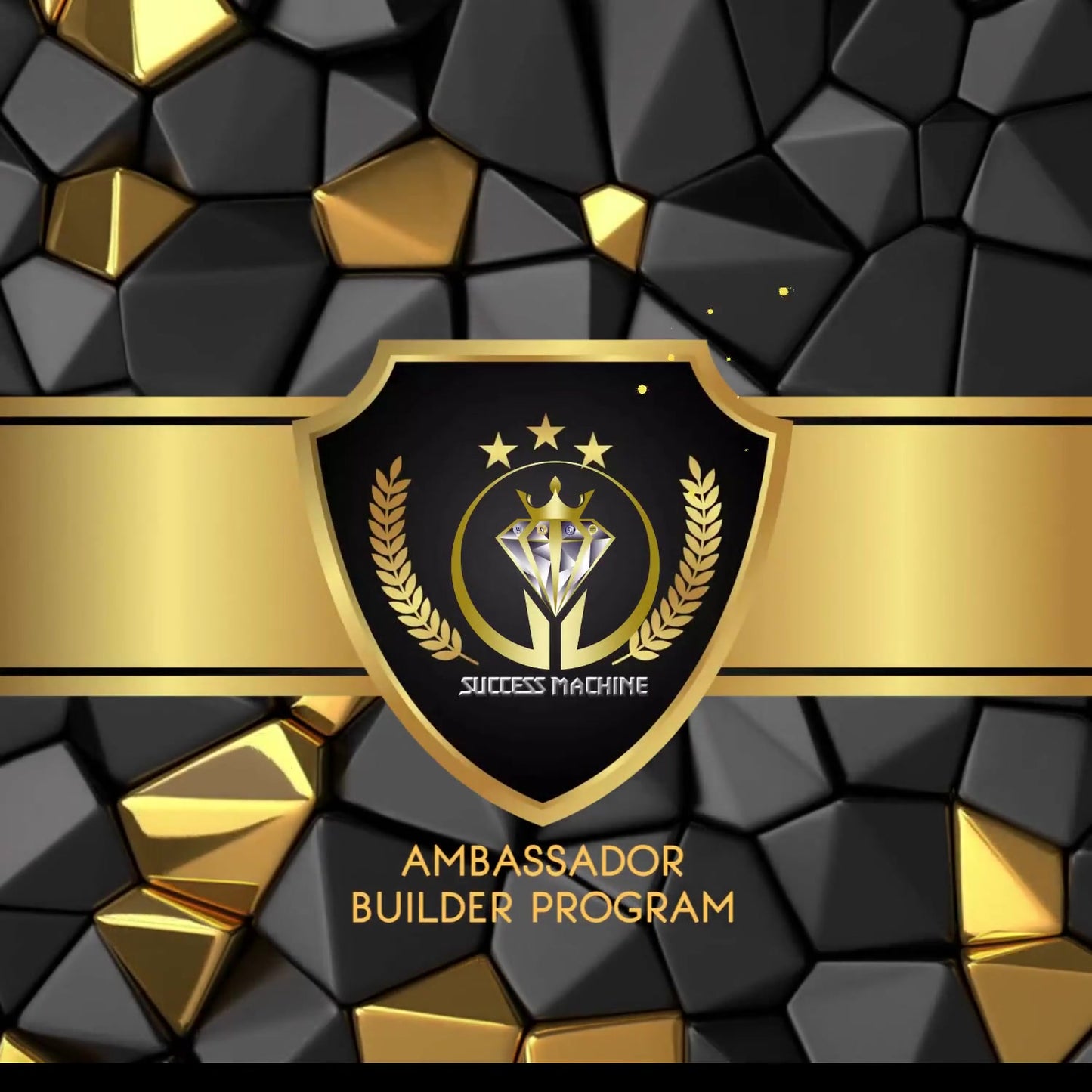 ambassador builder program