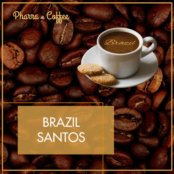 brazil santos
