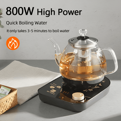 Professional multi-functional glass teapot | 800ml fast heating, cooking and brewing integrated electric kettle with stainless steel filter